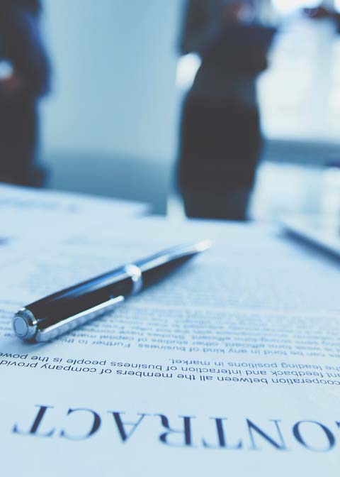 Litigation Consulting